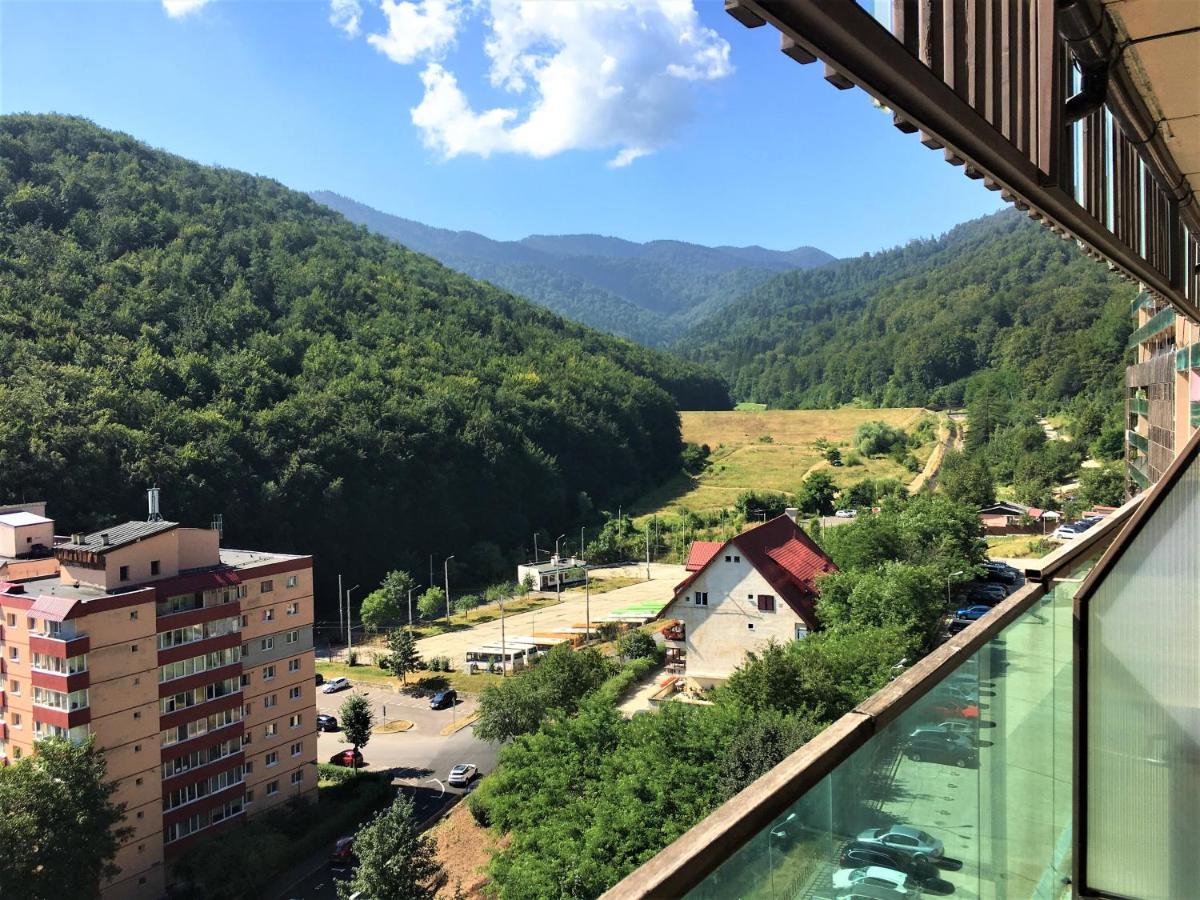 Nature Escape Apartment Braşov Exteriör bild